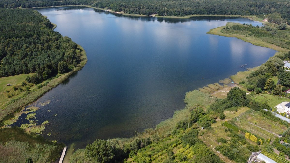Jezioro Binowskie – podwodny ogród pełen życia