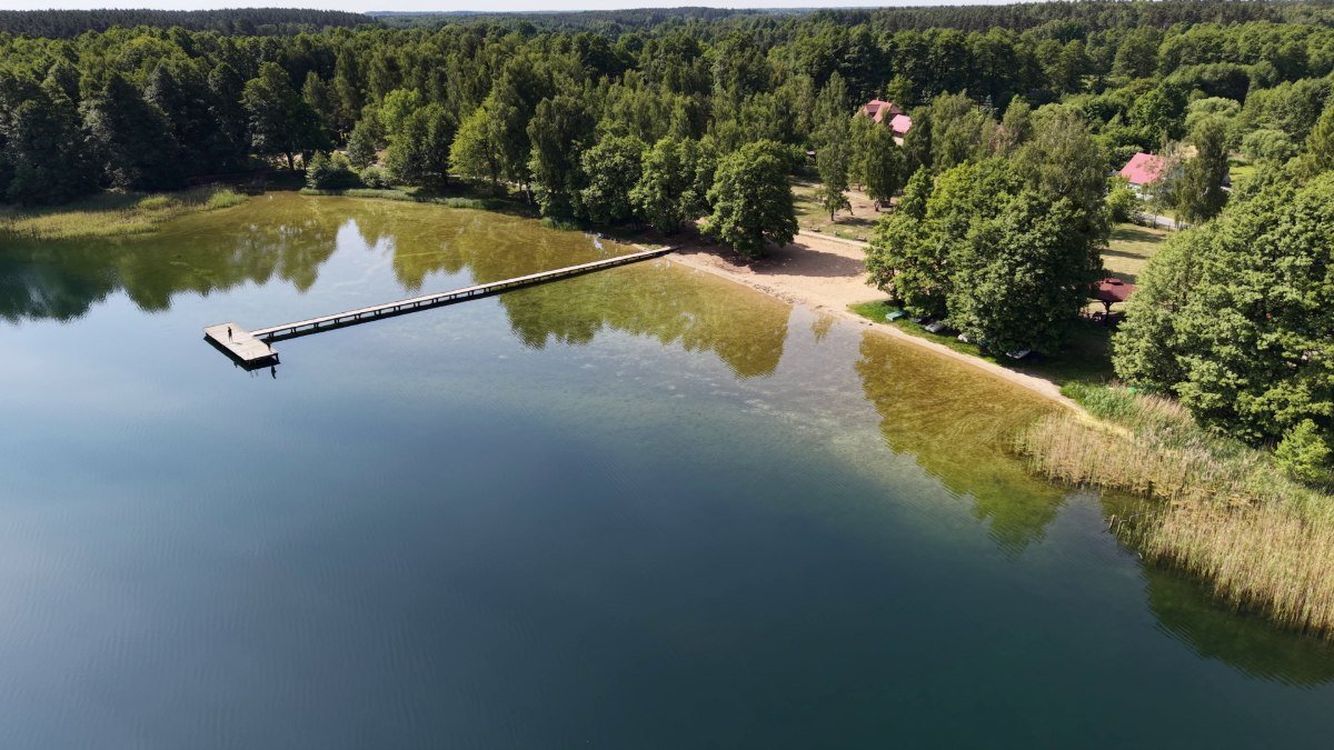 Jezioro Dominikowo – czysta woda i ogromne ławice ryb