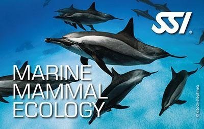 Marine Mammal Ecology – Ekologia Ssaków Morskich