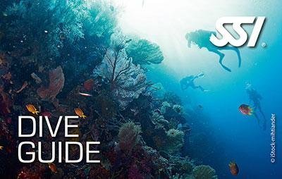 Dive Guide / Divemaster – Przewodnik Nurkowy