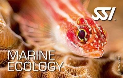 Marine Ecology – Ekologia Morska